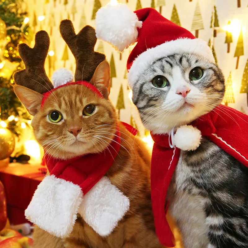 【X’masまであと20日】猫用クリスマスグッズおすすめ3選（2021年） | ねこニュース