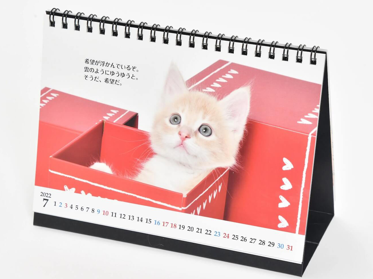 子猫たちに癒され 志茂田景樹さんの名言に励まされる卓上カレンダー発売 22年を素敵な年に ねこニュース